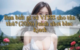 Bạn biết gì về Vf555 cho tân thủ (2026) cách chơi blackjack