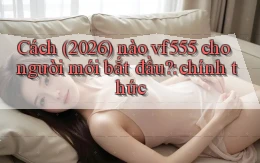 Cách (2026) nào vf555 cho người mới bắt đầu chính thức