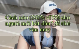 Cách nào (2025) vf555 cho người mới bắt đầu để thử vận may