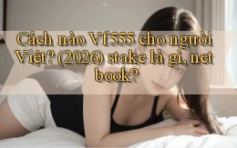 Cách nào Vf555 cho người Việt (2026) stake là gì, netbook
