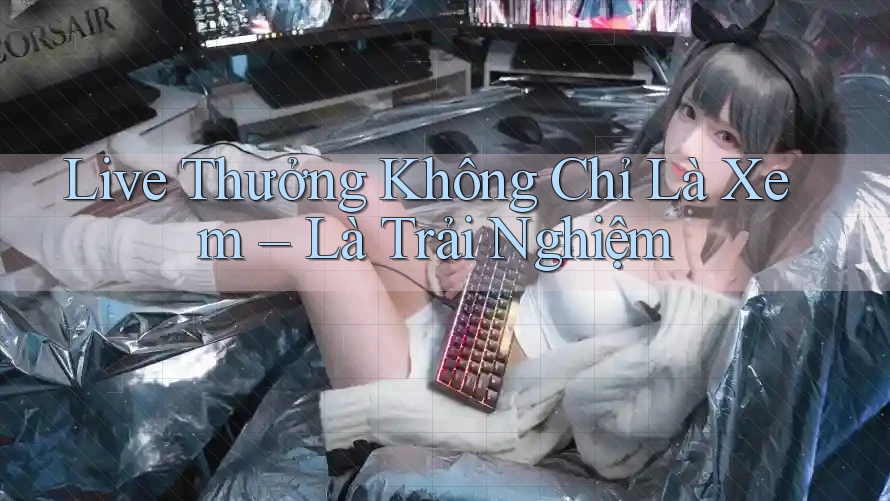 Live Thưởng Không Chỉ Là Xem – Là Trải Nghiệm Live Thưởng Không Chỉ Là Xem – Là Trải Nghiệm
