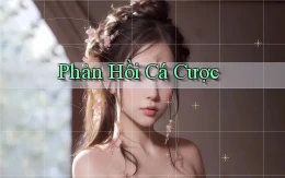 Phản hồi Cá cược