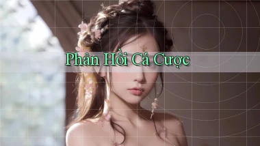 Phản hồi Cá cược