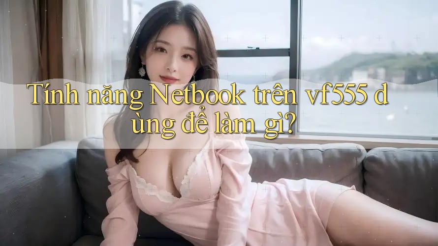 Tính năng Netbook trên vf555 dùng để làm gì? Tính năng Netbook trên vf555 dùng để làm gì?
