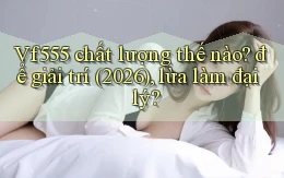 Vf555 chất lượng thế nào để giải trí (2026), lừa làm đại lý