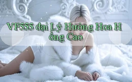 vf555  đại lý hưởng hoa hồng cao