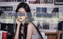 vf555  đấu gà cược sân nhà