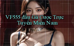 vf555  đấu gà cược trực tuyến miền nam