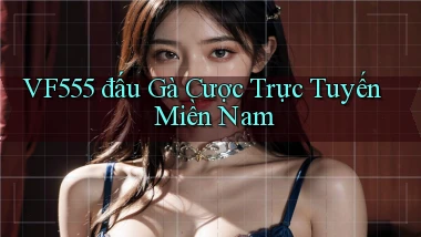 vf555  đấu gà cược trực tuyến miền nam