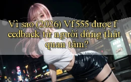 Vì sao (2026) Vf555 được feedback từ người dùng thật quan tâm