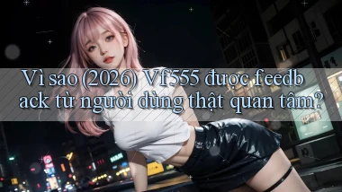 Vì sao (2026) Vf555 được feedback từ người dùng thật quan tâm